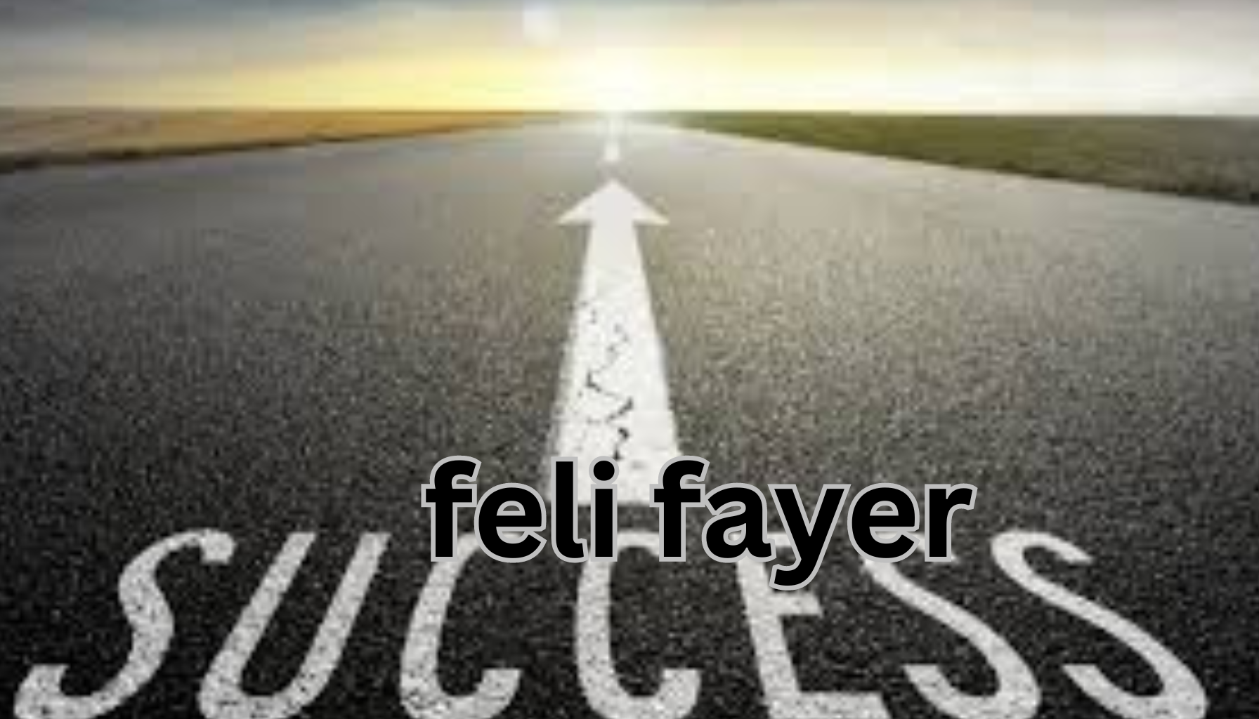 feli fayer